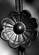 Wall_Art_Alphabet_Photography_Art_ 1585